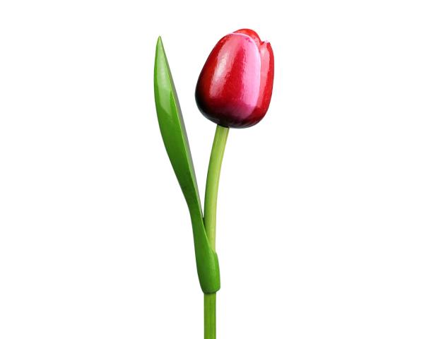 Wooden tulip in a wooden base, to stand, 34cm high, made in Holland, color: red/white